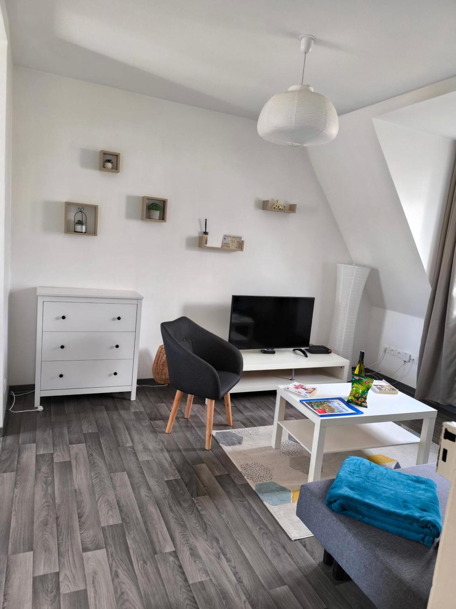 Appartement Cosy A Colmar Eksteriør bilde