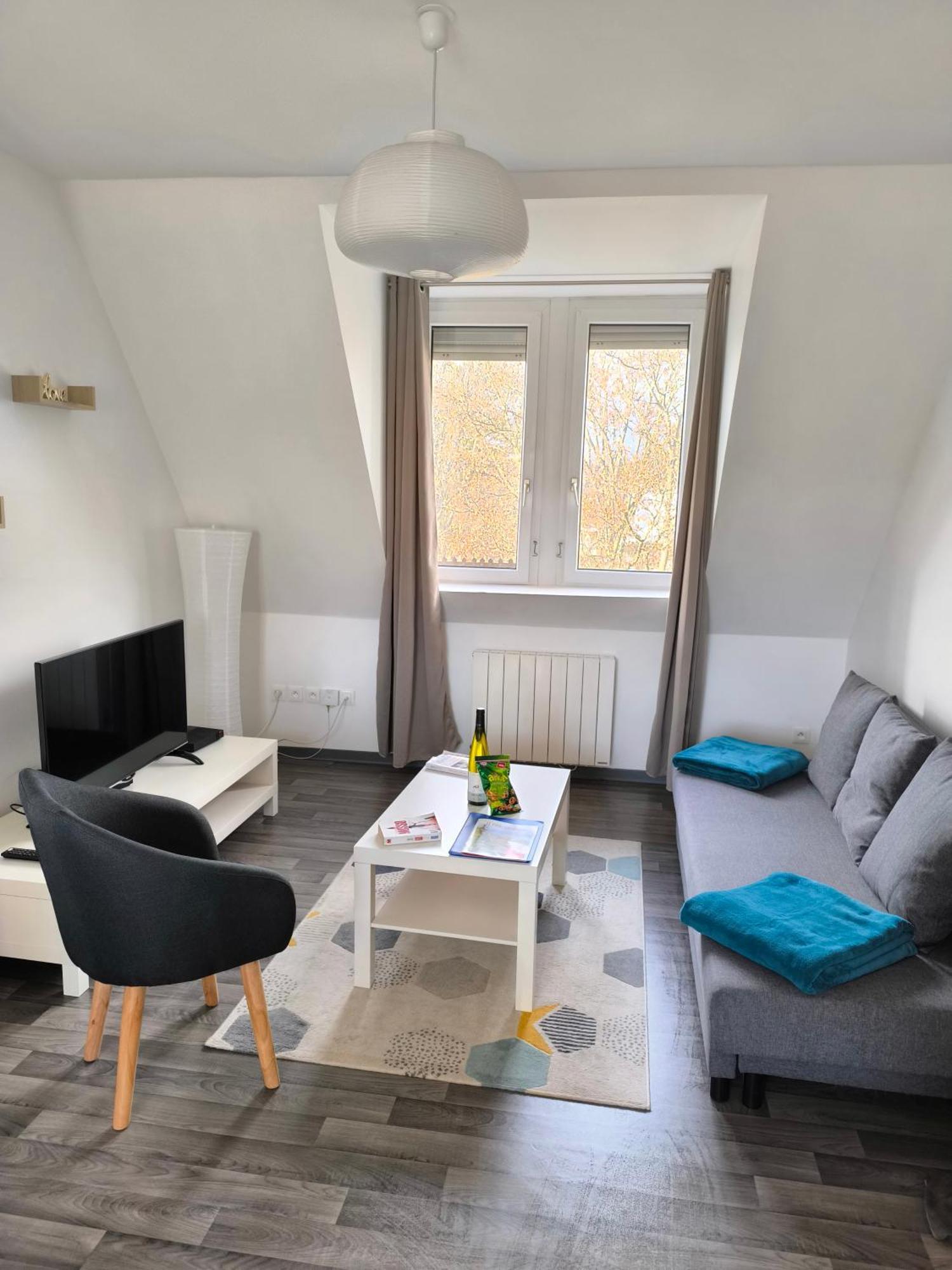 Appartement Cosy A Colmar Eksteriør bilde